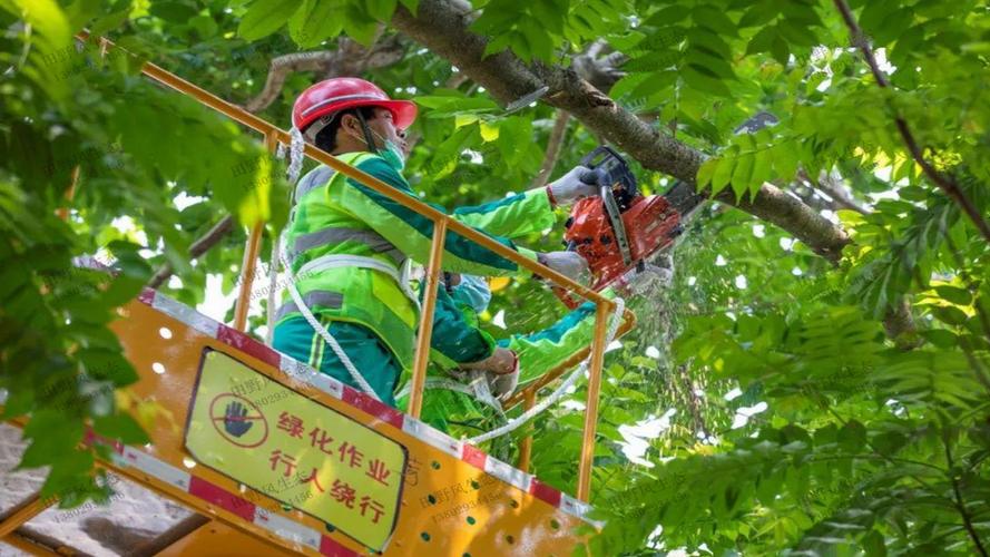金年会官方网站入口:智慧城市科幻画画题材有哪些 金年会官方网站入口:智慧城市科幻画画题材有哪些