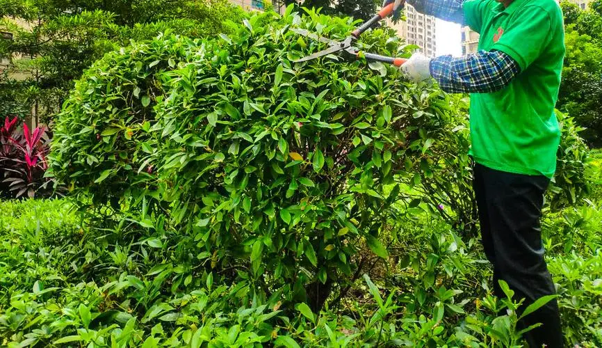 金年会:智慧城市监测宣传片 金年会:智慧城市监测宣传片