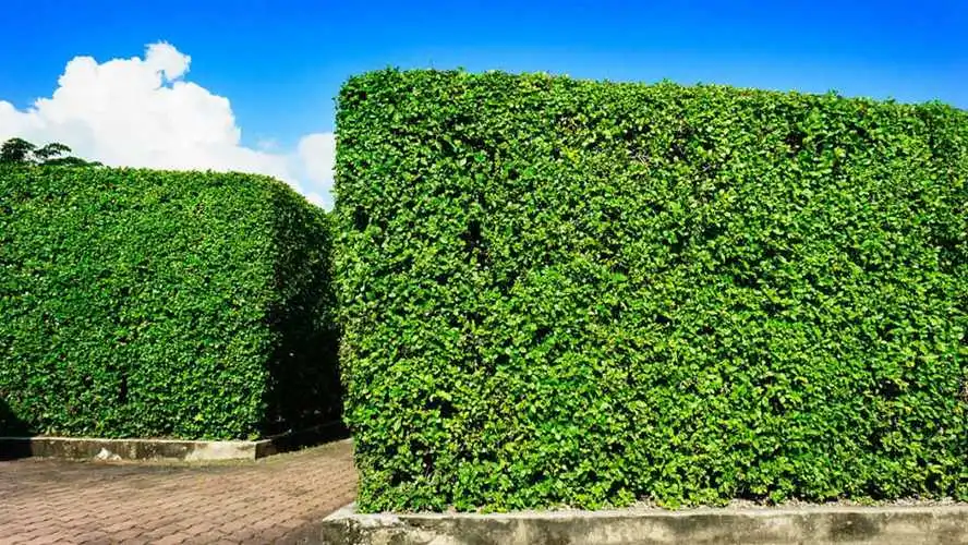 金年会:智慧城市应用实例有哪些 金年会:智慧城市应用实例有哪些